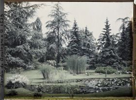 Image représentant Le marais