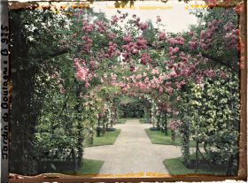 Image représentant Axe central du verger-roseraie vu près du second carrefour avant la dépendance