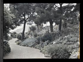 Image représentant La gde allée, vue vers Monaco