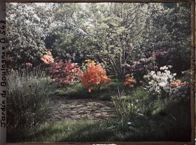 Image représentant Azalées et rhododendrons en fleurs en bord " d'étang ", au nord-est du marais vu en direction du nord