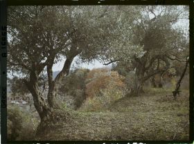 Image représentant Turquie, Mont Athos, Stravonikita, Paysage à Couthoumousson