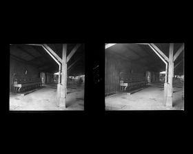 Image représentant Le quai de la station