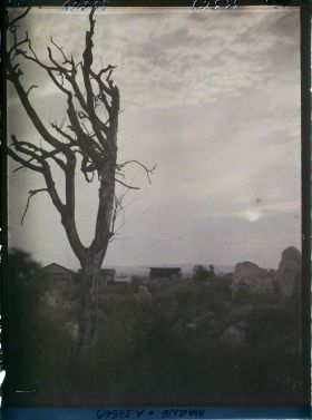 Image représentant France, Nauroy, Arbres morts au coucher du Soleil