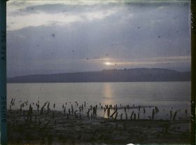 Image représentant Site palafittique préhistorique des Alpes, pieux en bois visibles lors de la baisse des eaux après la grande sécheresse de 1921. Coucher de soleil sur le lac de Morat