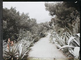Image représentant Le Jardin : au fond la Tête de Chien