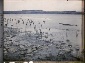 Image représentant Site palafittique préhistorique des Alpes, pieux en bois visibles lors de la baisse des eaux après la grande sécheresse de 1921