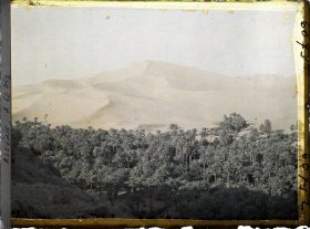 Image représentant La partie est de l'oasis, au bas de la dune