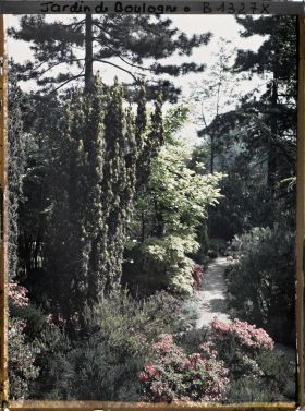 Image représentant Allée du " sanctuaire japonais " longeant le verger-roseraie, bordée d'une rocaille fleurie