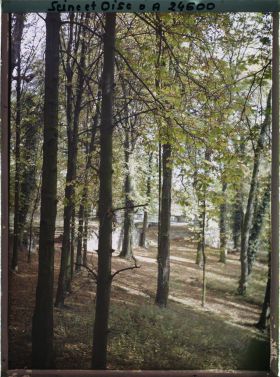 Image représentant Le parc