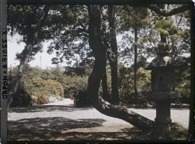 Image représentant Lanterne dans un parc