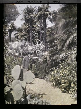 Image représentant Le Jardin