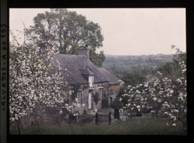 Image représentant Pommiers devant une maison de campagne