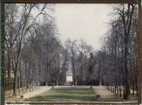 Image représentant Parterre dans le parc