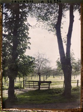 Image représentant Environs de la ferme de " Canon "