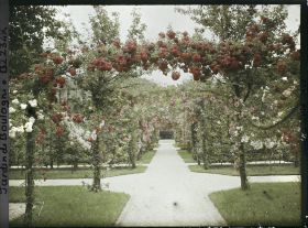 Image représentant Axe central du verger-roseraie vu vers le jardin anglais, depuis le second carrefour côté dépendance