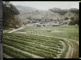 Image représentant Rizières et village sur fond de paysage escarpé