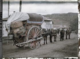 Image représentant Espagne, Avila, Une voiture attelée de quatre ânes en file