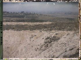 Image représentant France, Sur la Crête des Eparges, Le bois des Eparges
