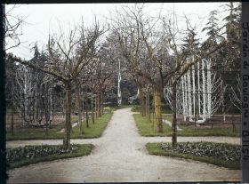Image représentant Allée du verger-roseraie menant à la forêt bleue, depuis le rond-point proche du jardin français