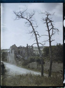 Image représentant France, Thil, Ruines avec Arbre mort, vue prise de l'Eglise.