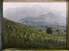 Image représentant Culture de la vigne aux abords du château de Sargans