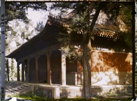 Image représentant Konglin, la nécropole de la famille de Confucius