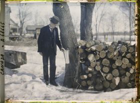 Image représentant Canada, Laval Des Rapides, Récolte du sucre d'érable