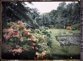 Image représentant " Étangs " du marais entourés de buissons d'azalées en fleurs et vus depuis le nord-est