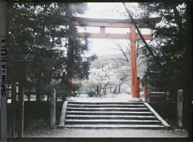 Image représentant Torii dans un sanctuaire
