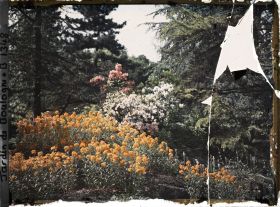 Image représentant Massif fleuri du " sanctuaire japonais " situé entre le " village japonais " et le sorinto