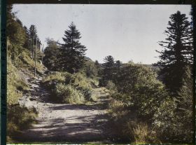 Image représentant France, Mont Dore, Route Conduisant au Pic du Capucin
