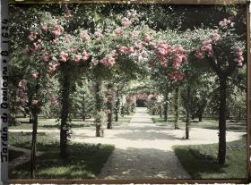 Image représentant Axe central du verger-roseraie vu en direction du jardin anglais, près du rond-point côté dépendance