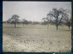 Image représentant France, Les Clayes, Champs et Pommiers