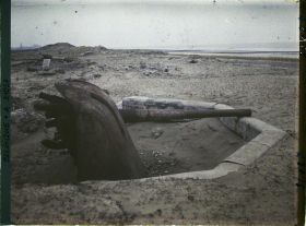 Image représentant Belgique, Zeebrugge, Batterie Zeppelin, pièce de 105