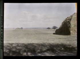 Image représentant France, Les Clayes, Champ de blé sur la route de Neaupbe -le-Château