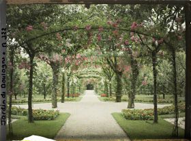 Image représentant Axe central du verger-roseraie vu en direction du jardin anglais, près du rond-point côté dépendance