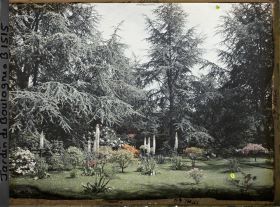 Image représentant Eremurus fusant entre les azalées et les rhododendrons qui ornent la partie est du marais