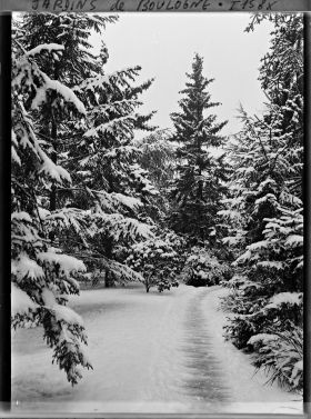 Image représentant Allée enneigée dans la forêt bleue