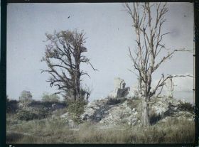 Image représentant France, Montfaucon, Ensemble des ruines de l'Eglise