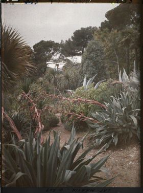 Image représentant Cap Martin Le Jardin
