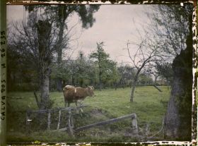 Image représentant Pâturages