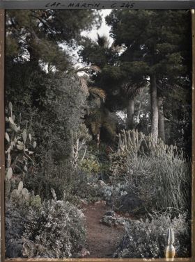 Image représentant Cap-Martin - Le Jardin