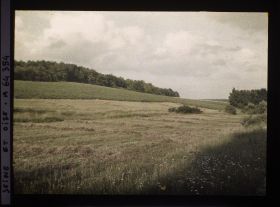Image représentant Ile de France, Vallangoujard, Pente nord de la Vallée