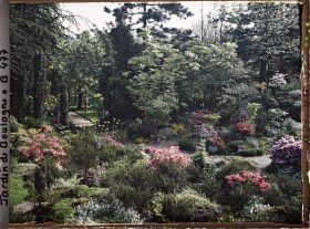 Image représentant Rocaille fleurie du " sanctuaire japonais " proche du sôrintô et chemin d'accès au verger-roseraie