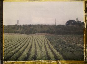 Image représentant Ile de France, Sarcelles St Brieuc, Cultures Diverses