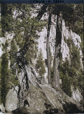 Image représentant Les Pyramides de terre (ou Cheminées de Fées) de Renon