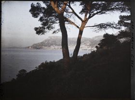 Image représentant Le Jardin Soleil levant vers Monaco