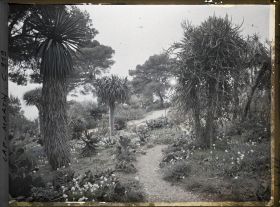 Image représentant Le Jardin