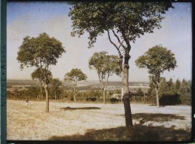 Image représentant Route de Nevers à Pougues