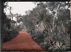 Image représentant Cap Martin - Le Jardin